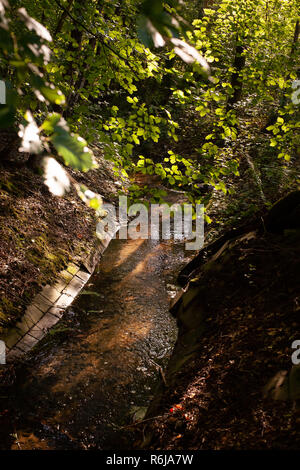 Aperçu de forêt d'automne avec l'écoulement de l'eau canalisée dans la lumière du soleil chaude Banque D'Images