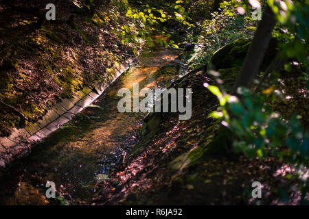 Aperçu de forêt d'automne avec l'écoulement de l'eau canalisée dans la lumière du soleil chaude Banque D'Images