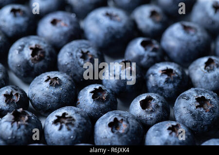 Une macro shot de bleuets couvert de gouttes d'eau. Banque D'Images