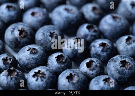 Une macro shot de bleuets couvert de gouttes d'eau. Banque D'Images
