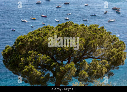 Les bateaux de pêche et yachts amarrés dans la mer Tyrrhénienne près de Positano, Amalfi Coast. Italie Banque D'Images