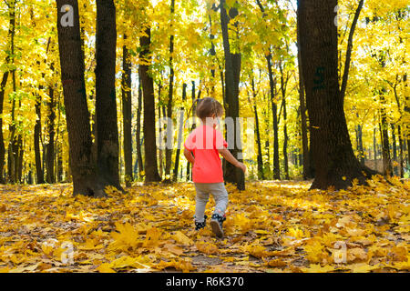 Peu cute girl walking in autumn park Banque D'Images