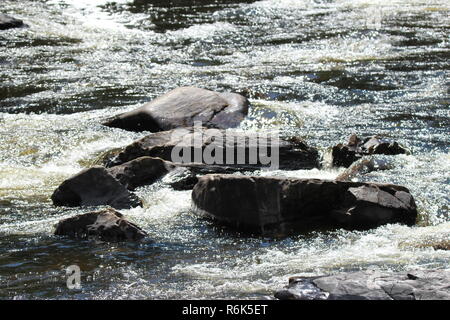 Cascade d'eau et nature / River dans la nature Banque D'Images