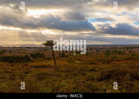 Photographie de paysage pris sur la réserve naturelle de Canford Heath sur Poole ville sous un ciel nuageux. Banque D'Images