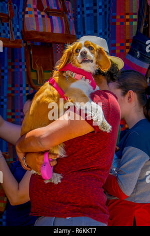 OTAVALO, ÉQUATEUR, 06 novembre 2018 : vue extérieure de touristes non identifiés dans holoding ses mains un superbe chien et acheter des vêtements dans un marché de rue Banque D'Images