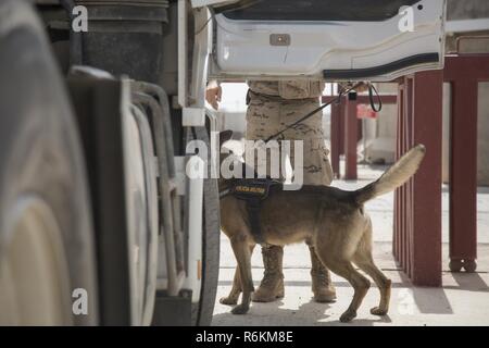 1er de l'armée espagnole. Le Cpl. Gabor, un chien de travail militaires déployés à l'appui de la Force opérationnelle interarmées - Fonctionnement résoudre inhérent, recherche un véhicule à fond avec son maître de détecter jusqu'à sept substances différentes à la gamme Besmaya complexe, l'Iraq, le 26 mai 2017. L'ampleur et la diversité de partenaires qui appuient la Coalition mondiale unifiée et démontrer la nature de l'effort pour vaincre ISIS en Iraq et en Syrie. Banque D'Images