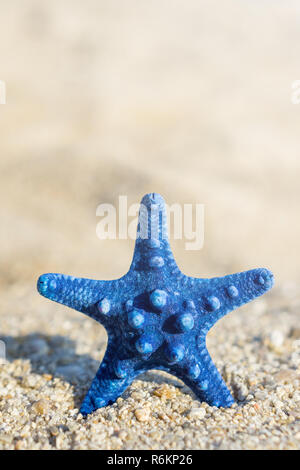 L'étoile bleue épinglée sur le sable à la plage. Arrière-plan flou. Banque D'Images