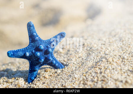L'étoile bleue épinglée sur le sable à la plage. Arrière-plan flou. Banque D'Images