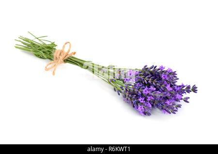 Bouquet de lavande avec une corde de jute. Isolé sur fond blanc. Banque D'Images