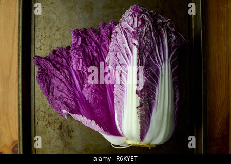 Chinois violet (NAPA) chou, illustré avec une grande feuille exposés, tourné de haut en bas (télévision à jeter). Banque D'Images