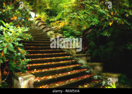 Escalier en pierre dans le parc Banque D'Images