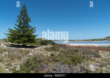 Lacs de sel sur Rottnest Island, Australie de l'ouest Banque D'Images