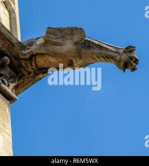 Paris - Les gargouilles sur le côté sud du mur de la Chapelle Saint Banque D'Images