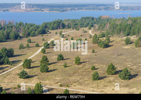 Bird's Eye View sur Sedlitzer Voir. Les environs de Senftenberg. L'Allemagne. État fédéral du Brandebourg. Banque D'Images