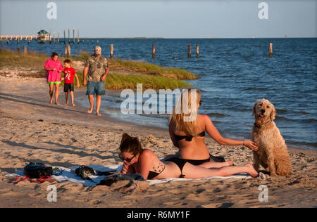 Les femmes le soleil avec leur chien, 8 mai 2011, sur la plage avant de Ocean Springs, Mississippi. Banque D'Images