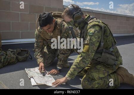 Le Cpl. Daniel A. Reyes (à gauche), un observateur des tirs interarmées avec 3e Brigade, 3e Naval Air Force de Liaison Entreprise, Groupe, siège de la réserve de la Force maritime, s'agenouille aux côtés de l'Armée canadienne le Capitaine Ethan McDonald (à droite), un projet conjoint de la finale de l'attaque avec contrôleur de la Batterie Y, 2e Régiment, Royal Canadian Horse Artillery et souligne les coordonnées sur une carte cible au Centre canadien d'entraînement aux Manœuvres, à Wainwright, en Alberta, au Canada, au cours de l'exercice Maple résoudre 17, 26 mai 2017. Au cours de l'exercice les Marines à partir de la 3ème ANGLICO a travaillé avec l'armée, appelant à l'artillerie simulé t préplanifiés Banque D'Images