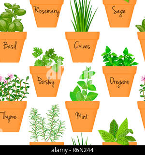 L'icône grand modèle transparent vector set d'herbes culinaires en terre cuite orange pots en argile avec des étiquettes Banque D'Images