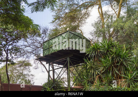 L'un des réservoirs de stockage de l'eau verte sur pilotis dans la savane du Parc d'Amboseli au Kenya Banque D'Images