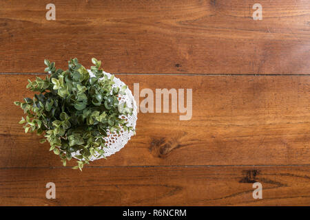 Une usine dans le vase sur le plancher en bois Banque D'Images