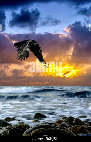 Lever du soleil sur la mer spectaculaire avec battant Raven Banque D'Images