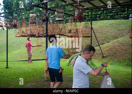 02.12.2018, Singapour, République de Singapour, en Asie - les amateurs d'oiseaux sont vus de raccrocher leur des cages à l'oiseau dans le coin Kebun Baru Ang Mo Kio. Banque D'Images