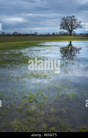 Printemps pluie jour reflétée dans l'eau Banque D'Images