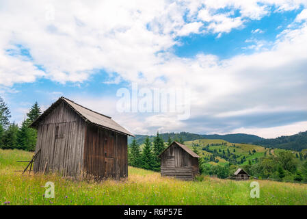 Chalets en bois dans une ligne sur une prairie en fleurs Banque D'Images