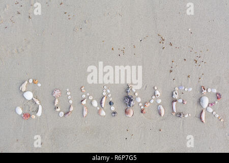 Le mot de l'été, écrit avec des coquillages dans le sable Banque D'Images