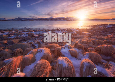 Hiver incroyable coucher du soleil à îles Lofoten, nature paysage avec des pierres, fjord, montagnes et ciel nuageux couleur de soleil, Gausvik, dans le Nord de la Norvège Banque D'Images