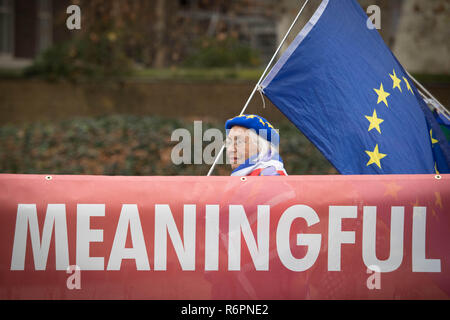 Partisan Anti Brexit Lynn Hall démontre devant les Maisons du Parlement à Londres aujourd'hui. Banque D'Images