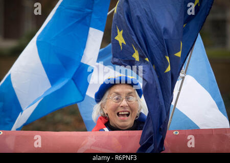 Partisan Anti Brexit Lynn Hall démontre devant les Maisons du Parlement à Londres aujourd'hui. Banque D'Images