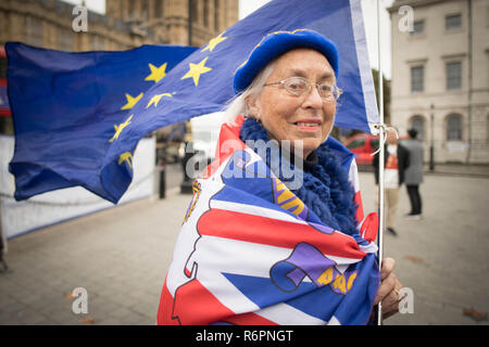 Partisan Anti Brexit Lynn Hall démontre devant les Maisons du Parlement à Londres aujourd'hui. Banque D'Images