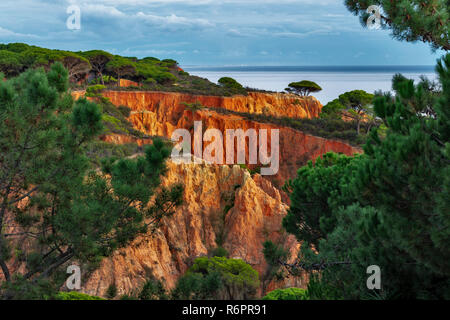 Des rochers de grès rouge et de pins, côte escarpée, Praia da Falesia, Ohlhos de Agua, Albufeira, Algarve, Portugal Banque D'Images