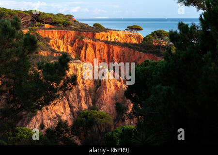 Des rochers de grès rouge et de pins, côte escarpée, Praia da Falesia, Ohlhos de Agua, Albufeira, Algarve, Portugal Banque D'Images