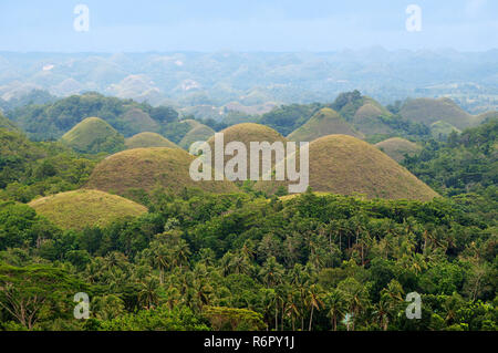 Les collines de chocolat dans Carmen, île de Bohol, Philippines, en Asie du sud-est Banque D'Images