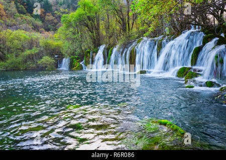 Bambou flèche cascades, lac Jiuzhaigou National Park, dans la province du Sichuan, Chine, Site du patrimoine mondial de l'UNESCO Banque D'Images