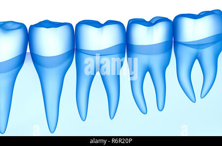 Dents transparent scan, xray view . Illustration 3D . Banque D'Images