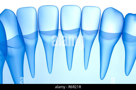 Dents transparent scan, xray view . Illustration 3D . Banque D'Images