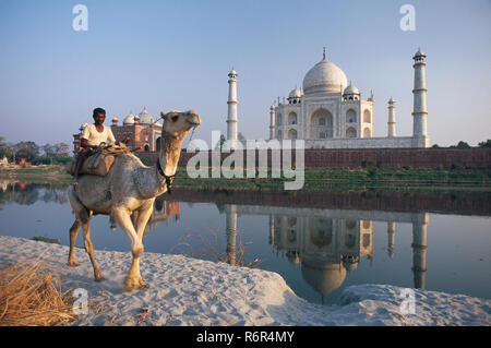 Reflet de Taj Mahal en rivière Yamuna septième merveille du monde, Agra, Uttar Pradesh, Inde Banque D'Images