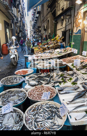 Un décrochage des poissonniers sur le marché sur la Via Pignasecca sur l'extrémité nord de l'Quartieri Spagnoli, Spanish Quarters, Naples, Italie. Banque D'Images