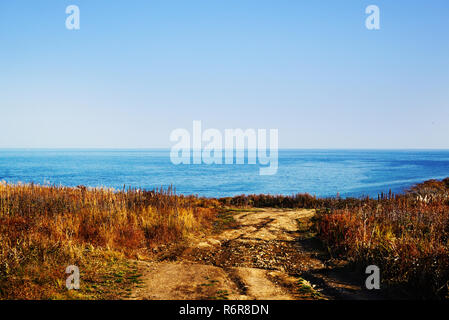 Route de campagne au milieu d'un champ d'herbes sauvages d'en face de la mer. La route se termine à la falaise. À l'Est de la Russie, de la région de Primorié, Vladivostok Banque D'Images