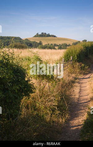 Une vue de Round Hill, Little Wittenham du sentier près de Dorchester-on-Thames Banque D'Images