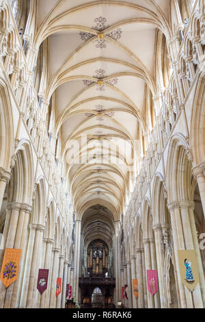 Nef de l'intérieur de Beverley Minster, Beverley, East Riding of Yorkshire, Angleterre, Royaume-Uni Banque D'Images