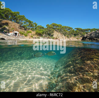 Espagne Costa Brava plage méditerranéenne de touristes en été et les poissons sous l'eau, vue fractionnée de la moitié au-dessus et au-dessous de la surface de l'eau, Palamos Banque D'Images