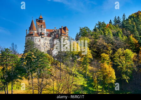 Château de Dracula à Bran, Transylvanie, Roumanie Banque D'Images