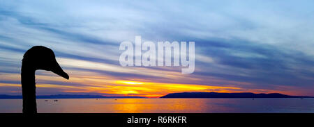 Silhouette d'un cygne avec coucher de soleil sur la mer Adriatique, à Makarska, Croatie Banque D'Images