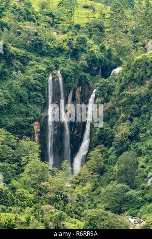 Puna Ella Falls, Ramboda près de Nuwara Eliya, Sri Lanka Banque D'Images