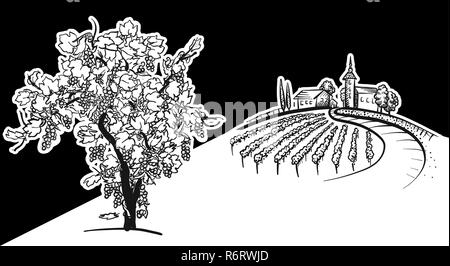 Arbre généalogique de vigne vignoble et dessin, vecteur dessiné à la main la nourriture l'illustration de l'étiquette de vigne et marketing des médias sociaux Illustration de Vecteur