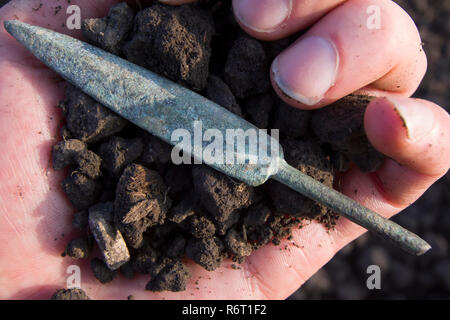 Arrowhead scythe Banque D'Images