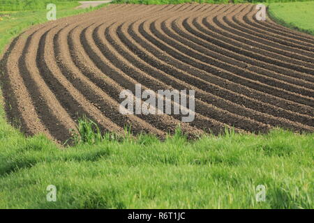 Sol fertile comme base pour une culture agricole fonctionnelle Banque D'Images